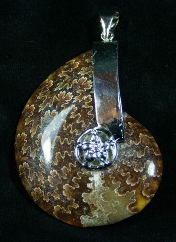 Large Ammonite Fossil Pendant - Tall #6337